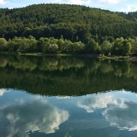 Mountain View 아파트 *